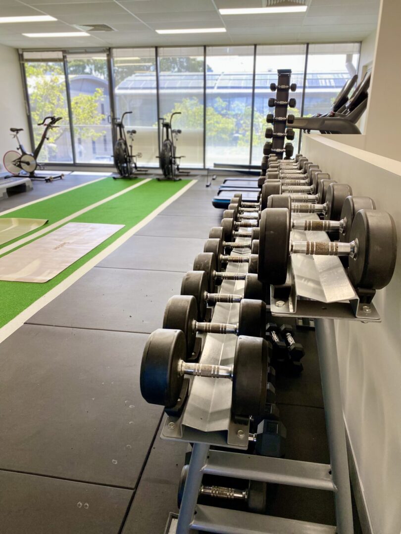A gym with many different types of dumbbells.